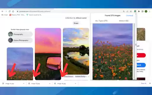 Full Image Downloader Download all images  from Chrome web store to be run with OffiDocs Chromium online
