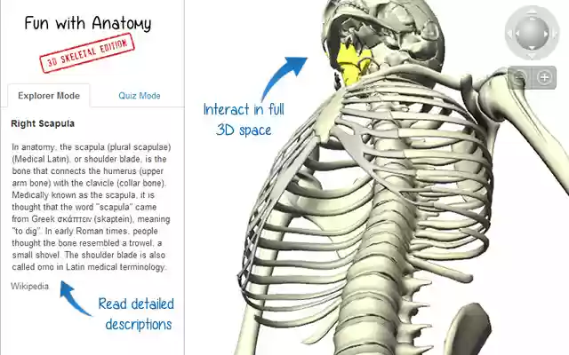 Fun with Anatomy: 3D Skeletal Edition  from Chrome web store to be run with OffiDocs Chromium online