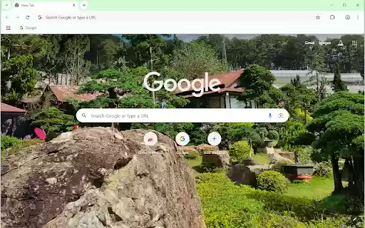 Garden in the Heart of Da Lat Forest  from Chrome web store to be run with OffiDocs Chromium online