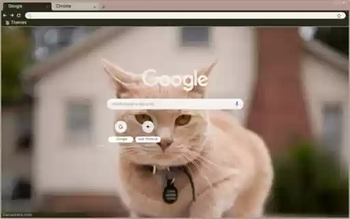Gatinho  from Chrome web store to be run with OffiDocs Chromium online