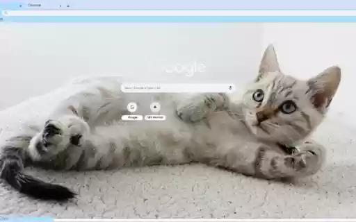 Gatito  from Chrome web store to be run with OffiDocs Chromium online