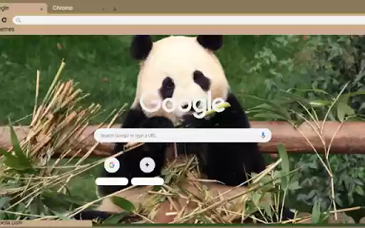 Gau Truc from Chrome web store to be run with OffiDocs Chromium online Gau Truc from Chrome web store to be run with OffiDocs Chromium online