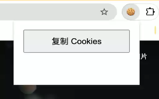 Get Cookies  from Chrome web store to be run with OffiDocs Chromium online