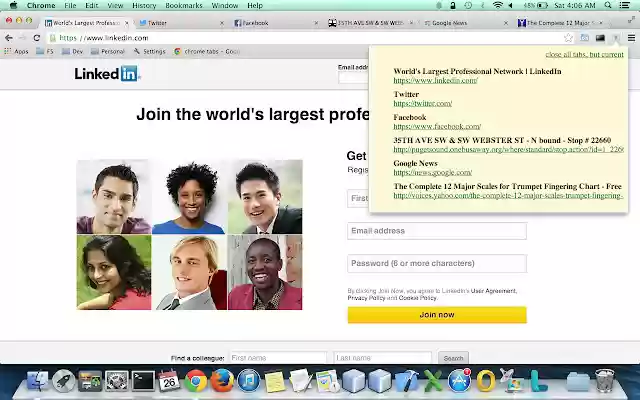 GET_URLS  from Chrome web store to be run with OffiDocs Chromium online