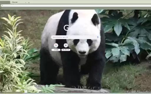 Giant Panda from Chrome web store to be run with OffiDocs Chromium online Giant Panda from Chrome web store to be run with OffiDocs Chromium online