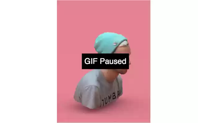 Gifnope from Chrome web store to be run with OffiDocs Chromium online Gifnope from Chrome web store to be run with OffiDocs Chromium online