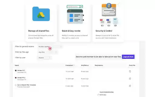 Gigashield Extension  from Chrome web store to be run with OffiDocs Chromium online