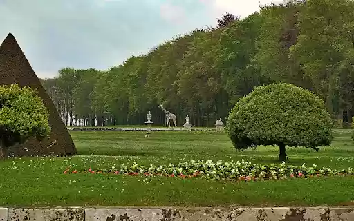 Giraffe in the park  from Chrome web store to be run with OffiDocs Chromium online