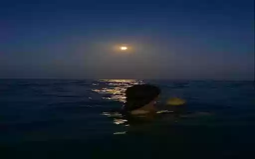 Girl and night sea wallpaper from Chrome web store to be run with OffiDocs Chromium online Girl and night sea wallpaper from Chrome web store to be run with OffiDocs Chromium online