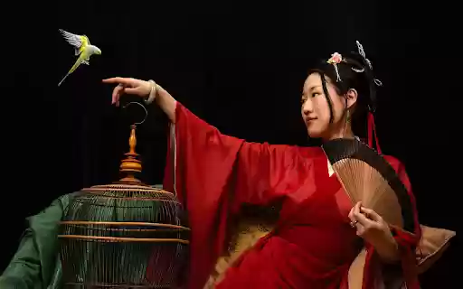 Girl and parrot  from Chrome web store to be run with OffiDocs Chromium online