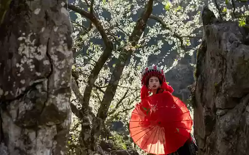 Girl and red umbrella  from Chrome web store to be run with OffiDocs Chromium online