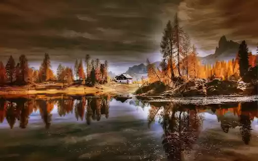 Golden forest with black clouds from Chrome web store to be run with OffiDocs Chromium online Golden forest with black clouds from Chrome web store to be run with OffiDocs Chromium online
