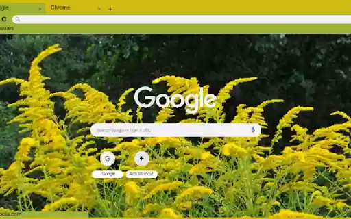 Goldenrod from Chrome web store to be run with OffiDocs Chromium online Goldenrod from Chrome web store to be run with OffiDocs Chromium online