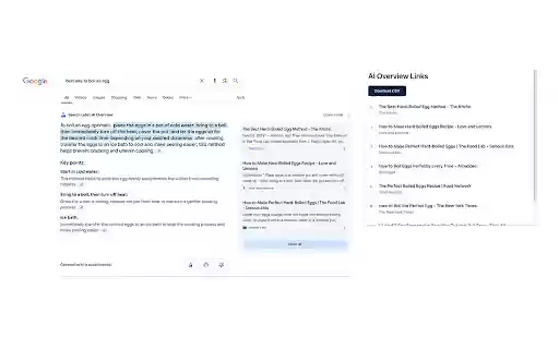 Google AI Overview Link Scraper  from Chrome web store to be run with OffiDocs Chromium online