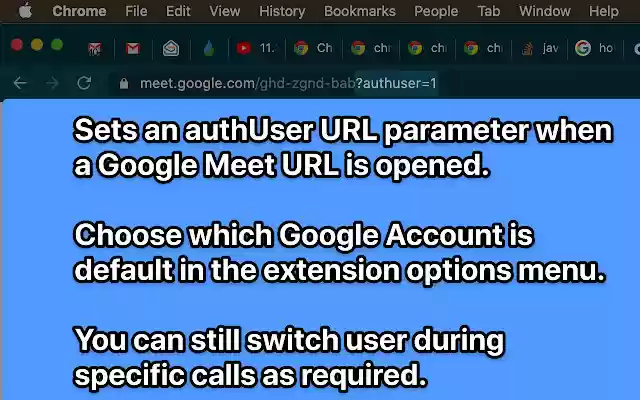 Google Meet Default Account from Chrome web store to be run with OffiDocs Chromium online Google Meet Default Account from Chrome web store to be run with OffiDocs Chromium online