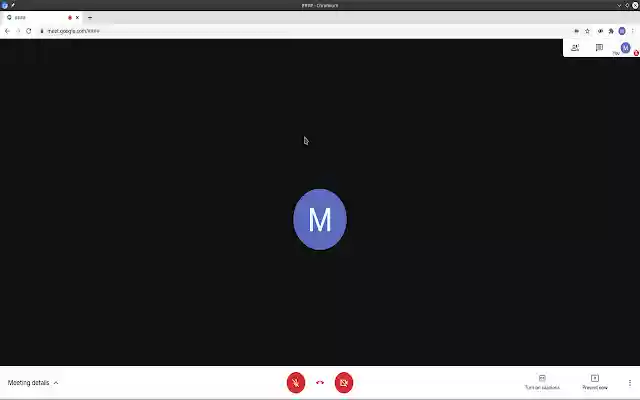 Google Meet Link Hider  from Chrome web store to be run with OffiDocs Chromium online