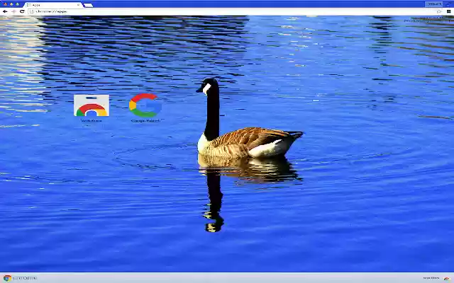 GOOSE THEME  from Chrome web store to be run with OffiDocs Chromium online