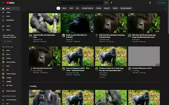 Gorilla Changer from Chrome web store to be run with OffiDocs Chromium online Gorilla Changer from Chrome web store to be run with OffiDocs Chromium online