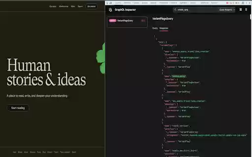GraphQL Request Inspector  from Chrome web store to be run with OffiDocs Chromium online