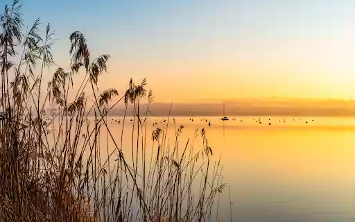 Grass and Sunset  from Chrome web store to be run with OffiDocs Chromium online
