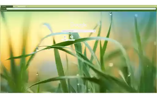 Grass raindrop  from Chrome web store to be run with OffiDocs Chromium online