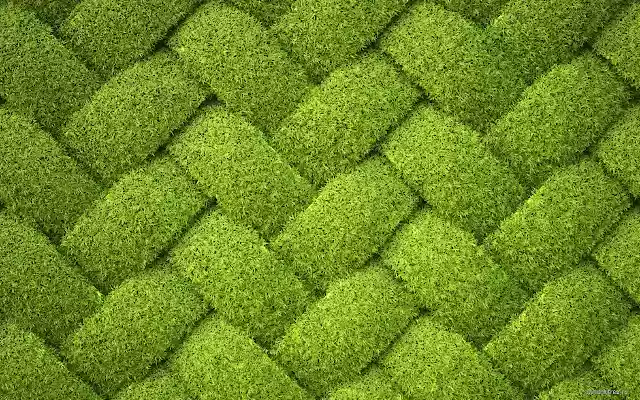 Grass Weaving  from Chrome web store to be run with OffiDocs Chromium online