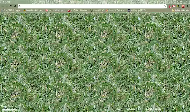 Grassy  from Chrome web store to be run with OffiDocs Chromium online