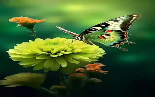 Green chrysanthemum and butterfly wallpaper  from Chrome web store to be run with OffiDocs Chromium online
