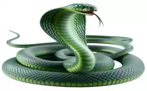 green cobra wallpaper  from Chrome web store to be run with OffiDocs Chromium online