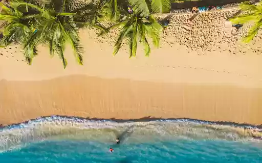 Green Coconut and the Sea  from Chrome web store to be run with OffiDocs Chromium online