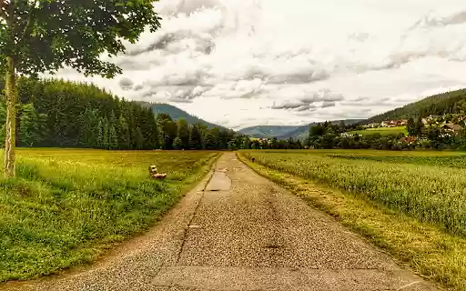 green country road from Chrome web store to be run with OffiDocs Chromium online green country road from Chrome web store to be run with OffiDocs Chromium online