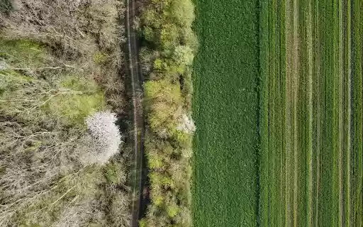 Green fields next to the forest from Chrome web store to be run with OffiDocs Chromium online Green fields next to the forest from Chrome web store to be run with OffiDocs Chromium online