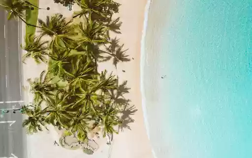 Green Leaves on Blue Round Plate  from Chrome web store to be run with OffiDocs Chromium online