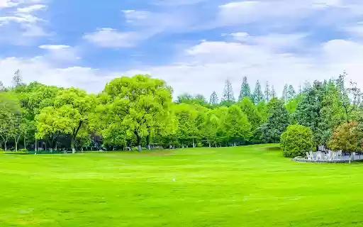 Green park and green lawn  from Chrome web store to be run with OffiDocs Chromium online