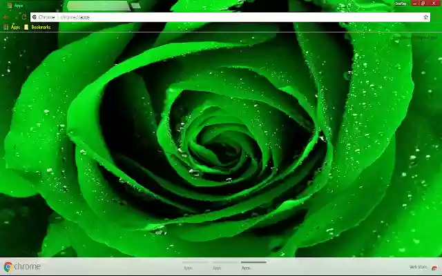 Green Rose  from Chrome web store to be run with OffiDocs Chromium online Green Rose  from Chrome web store to be run with OffiDocs Chromium online