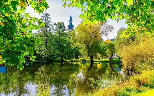 Green trees around the lake  from Chrome web store to be run with OffiDocs Chromium online