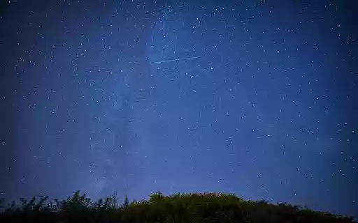 Green Trees Under the Blue Sky during Night Time  from Chrome web store to be run with OffiDocs Chromium online
