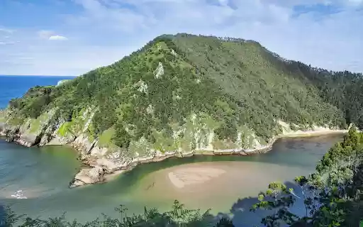 Green turtle island  from Chrome web store to be run with OffiDocs Chromium online