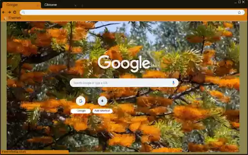 Grevillea  from Chrome web store to be run with OffiDocs Chromium online