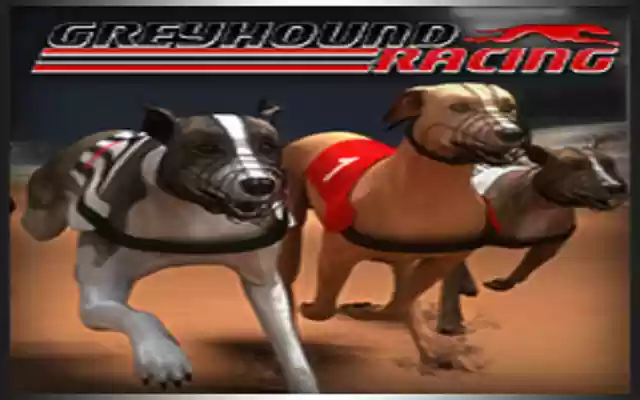 Greyhound Racing from Chrome web store to be run with OffiDocs Chromium online Greyhound Racing from Chrome web store to be run with OffiDocs Chromium online