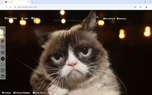 Grumpy Cat Wallpaper from Chrome web store to be run with OffiDocs Chromium online Grumpy Cat Wallpaper from Chrome web store to be run with OffiDocs Chromium online