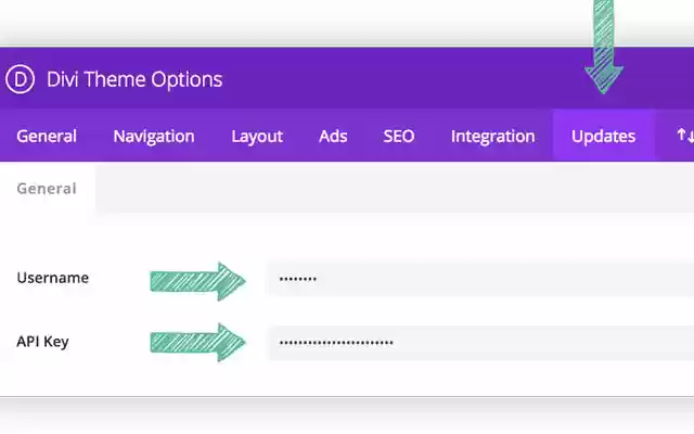 Guide how to update Divi Theme  from Chrome web store to be run with OffiDocs Chromium online