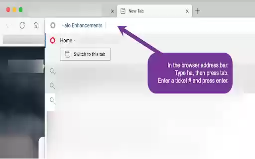 Halo Enhancements  from Chrome web store to be run with OffiDocs Chromium online