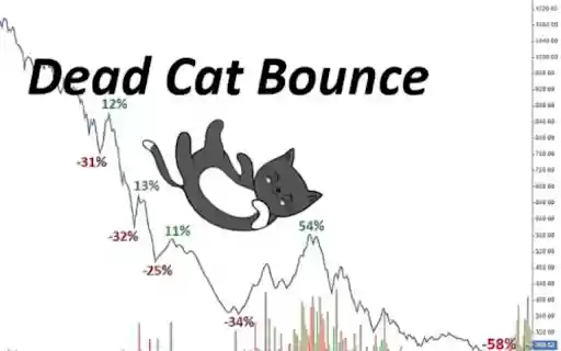 Hanghoaphaisinh247 from Chrome web store to be run with OffiDocs Chromium online Hanghoaphaisinh247 from Chrome web store to be run with OffiDocs Chromium online