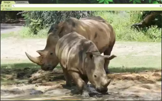 Happy Little Rhinos from Chrome web store to be run with OffiDocs Chromium online Happy Little Rhinos from Chrome web store to be run with OffiDocs Chromium online