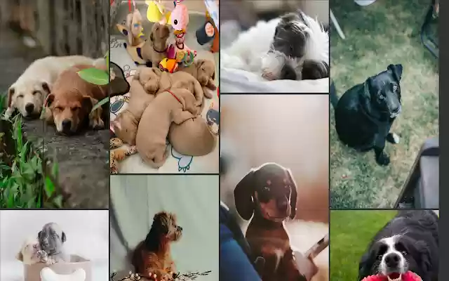 Happy Tab!  from Chrome web store to be run with OffiDocs Chromium online