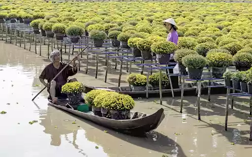 Harvest flowers  from Chrome web store to be run with OffiDocs Chromium online