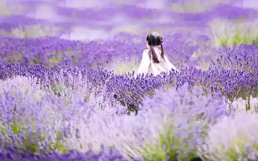 Have fun in the flower garden  from Chrome web store to be run with OffiDocs Chromium online