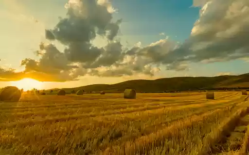 Hay Bales at Sunset  from Chrome web store to be run with OffiDocs Chromium online