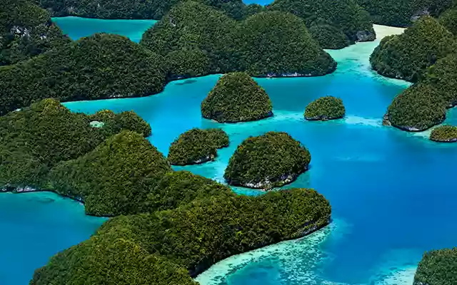 Healthy foods from Chrome web store to be run with OffiDocs Chromium online Healthy foods from Chrome web store to be run with OffiDocs Chromium online